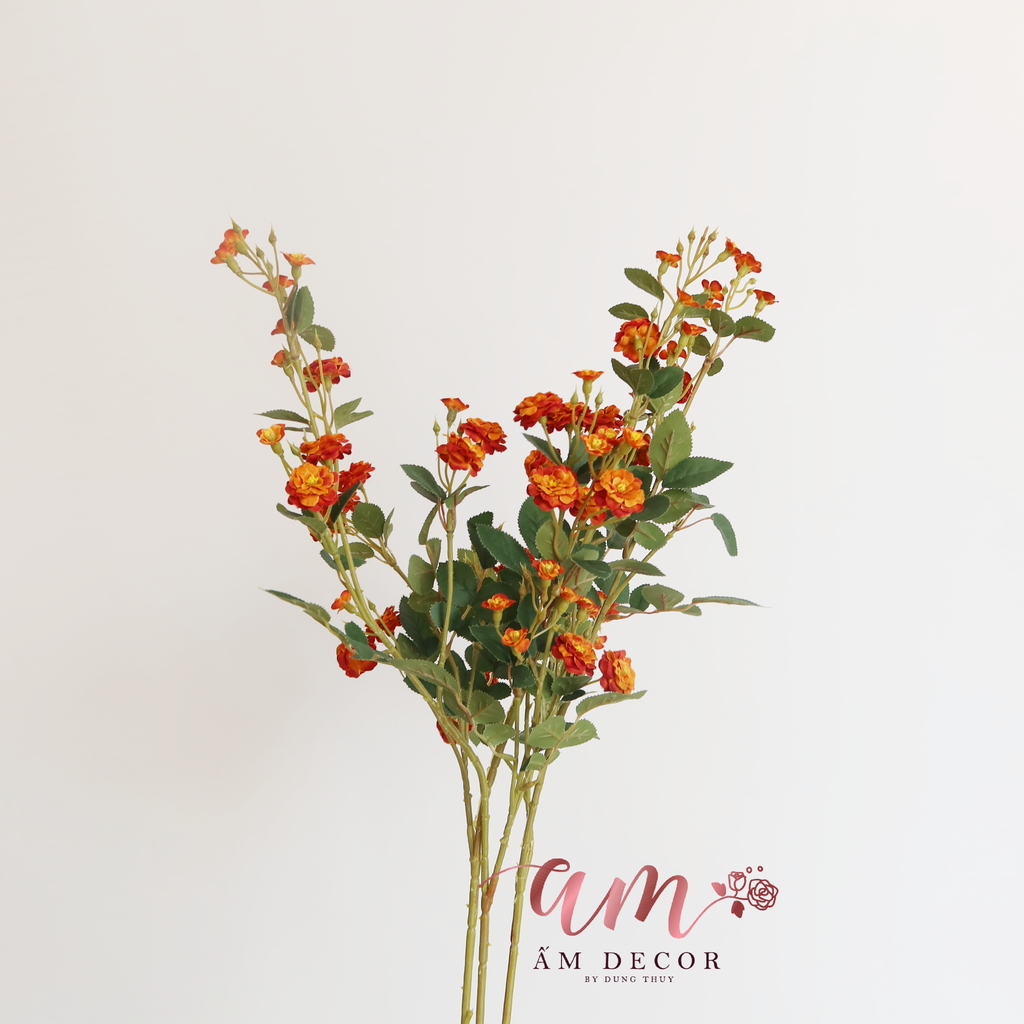 ZNHÀI LEO CÀNH DÀI (Nâu)