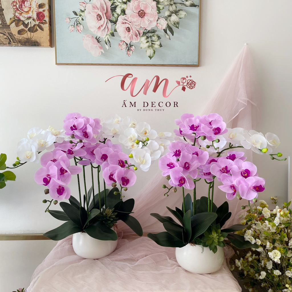 ORCHID PURPLE WHITE MIX