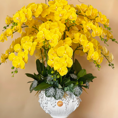  LEMON YELLOW ORCHID ARRANGEMENT 