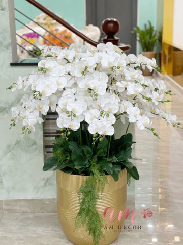  ORCHID METALGOLD ARANGEMENT 