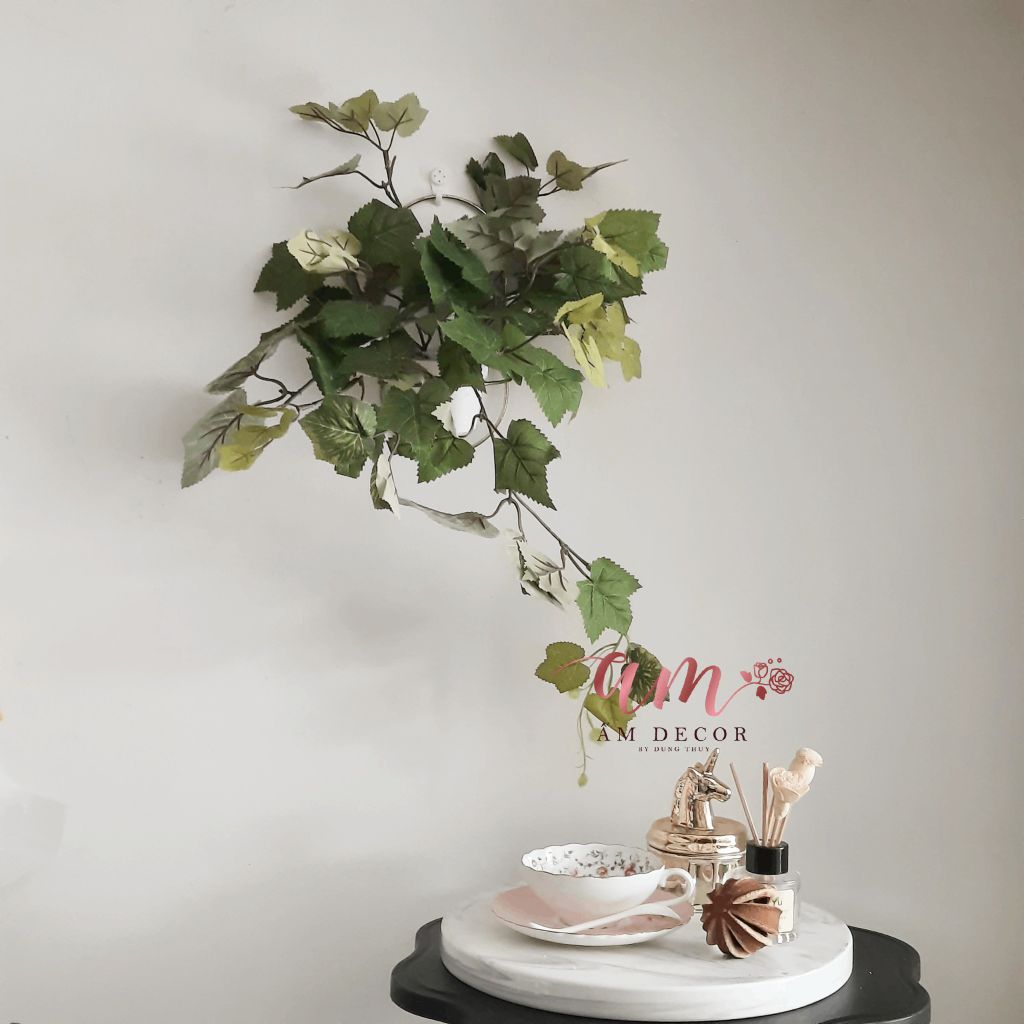 Ấm Plant House - GRAPE TREE (CÂY NHO LEO)