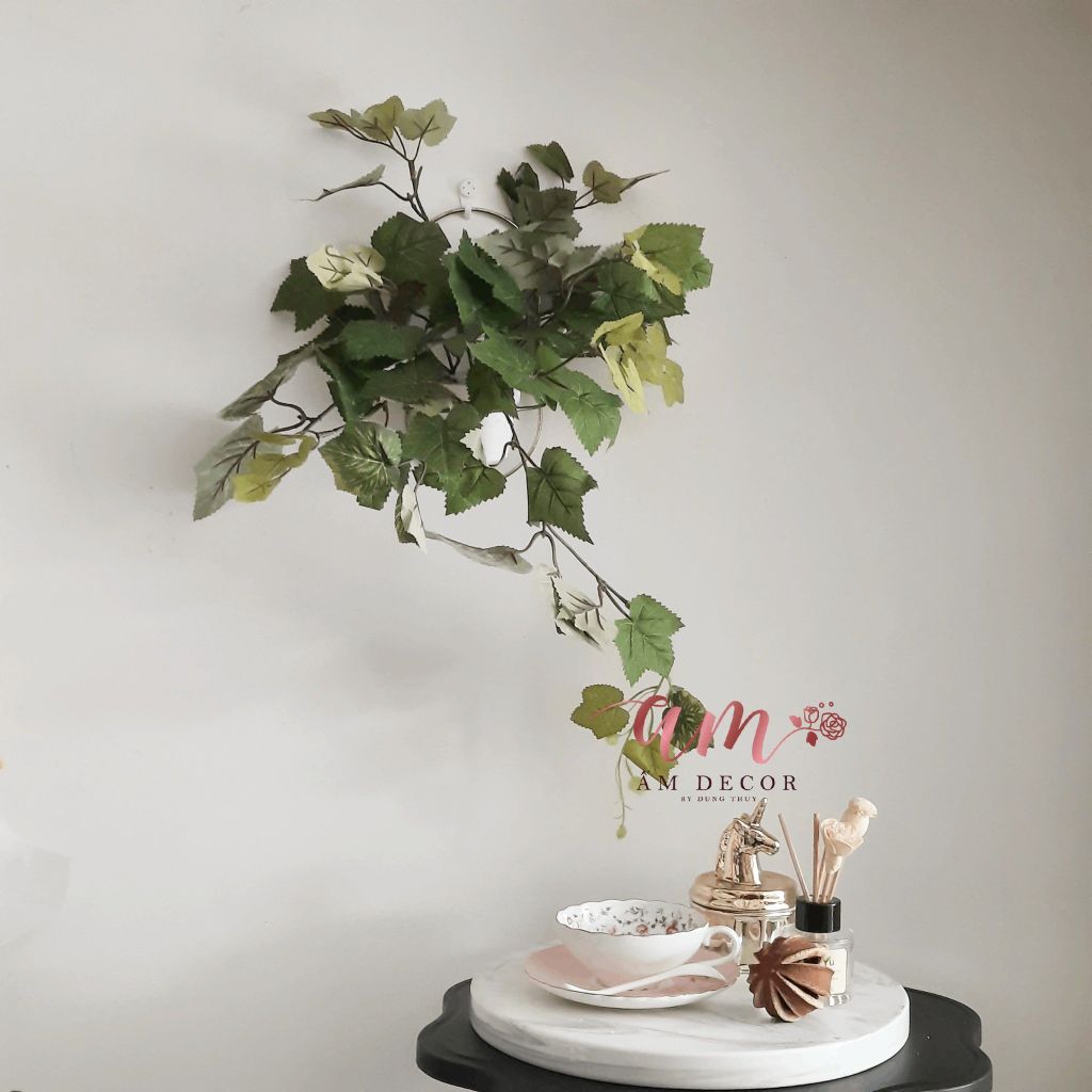 Ấm Plant House - GRAPE TREE (CÂY NHO LEO)