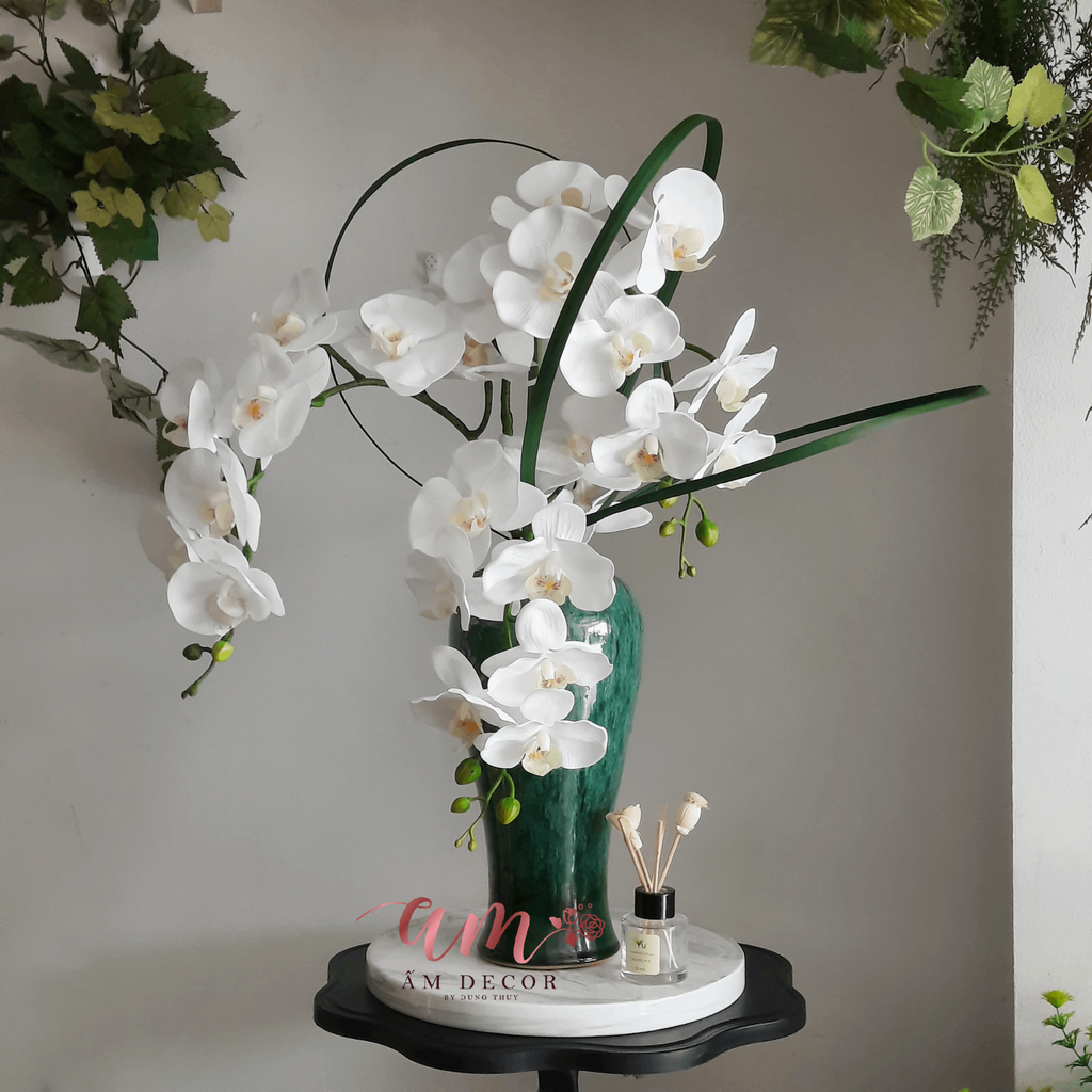 ZLỌ HOA MOON ORCHID ART