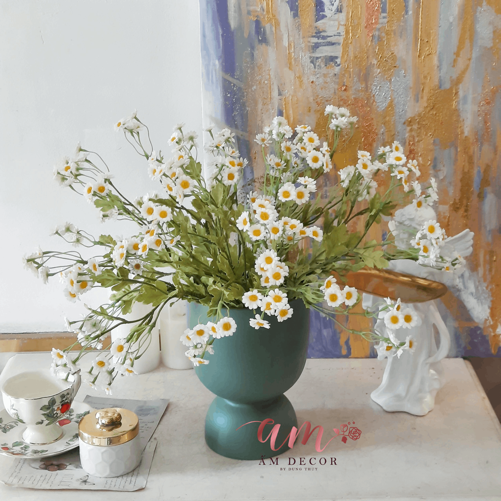 ZCHẬU HOA TANA DAISY JUNE