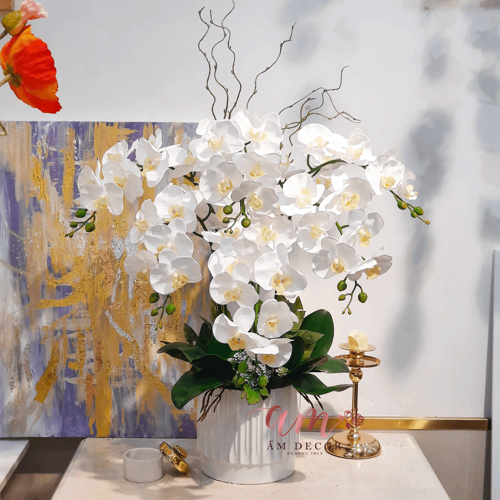 CHẬU HOA PEARL ORCHID MOONLIGHT