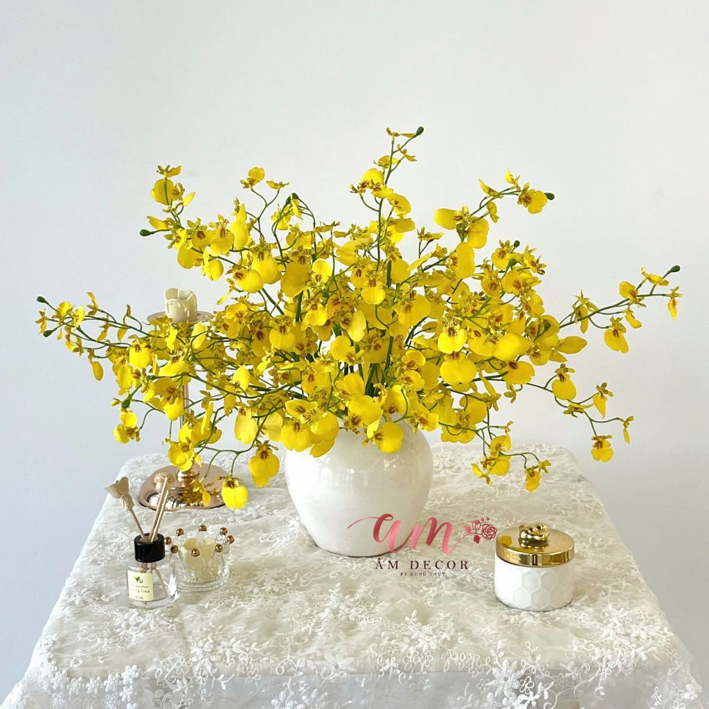 ZCHẬU HOA LAN VŨ NỮ