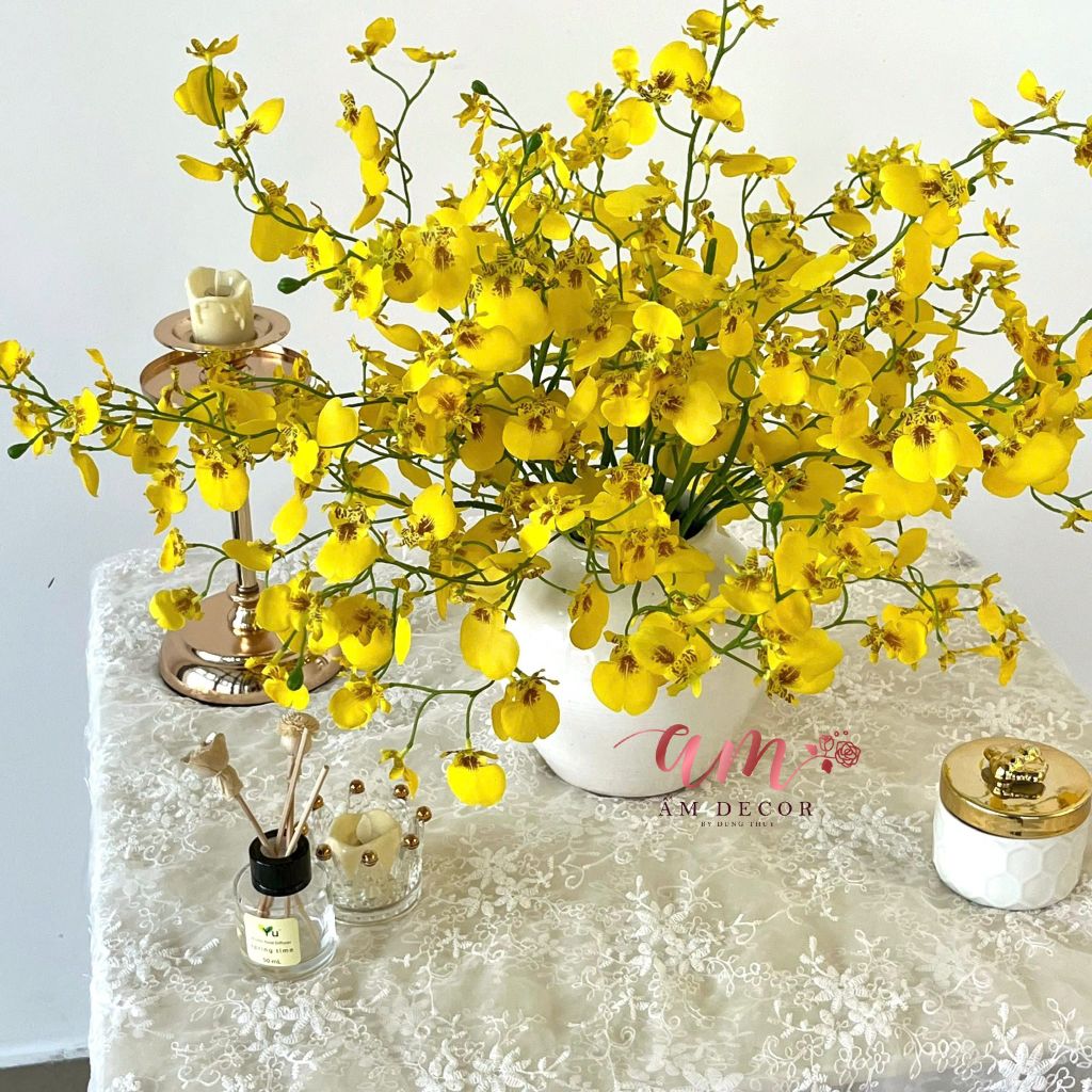 ZCHẬU HOA LAN VŨ NỮ