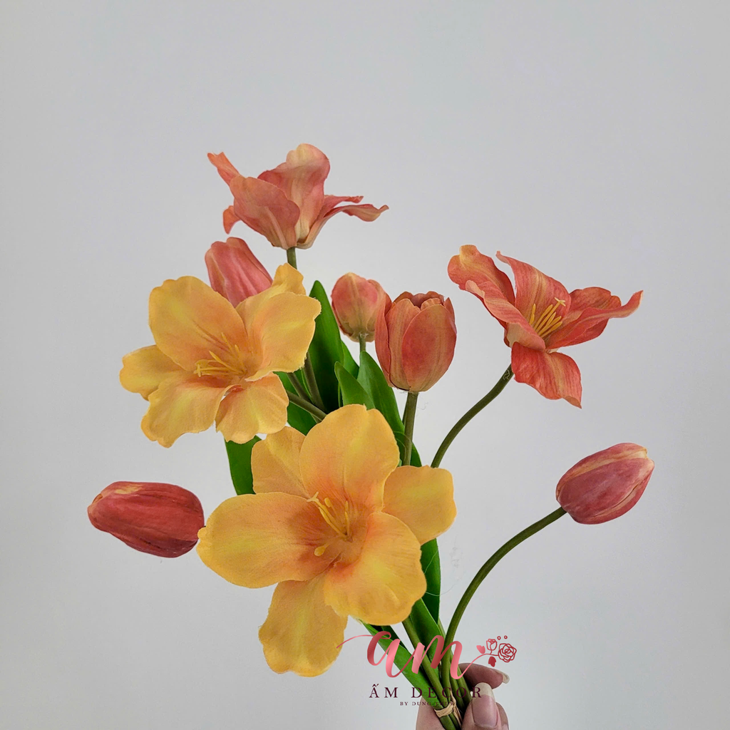 TULIP CHÙM (CAM)