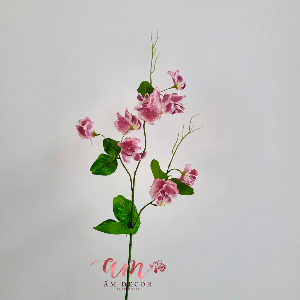 HOA ĐẬU THƠM 2025 (ĐỎ)