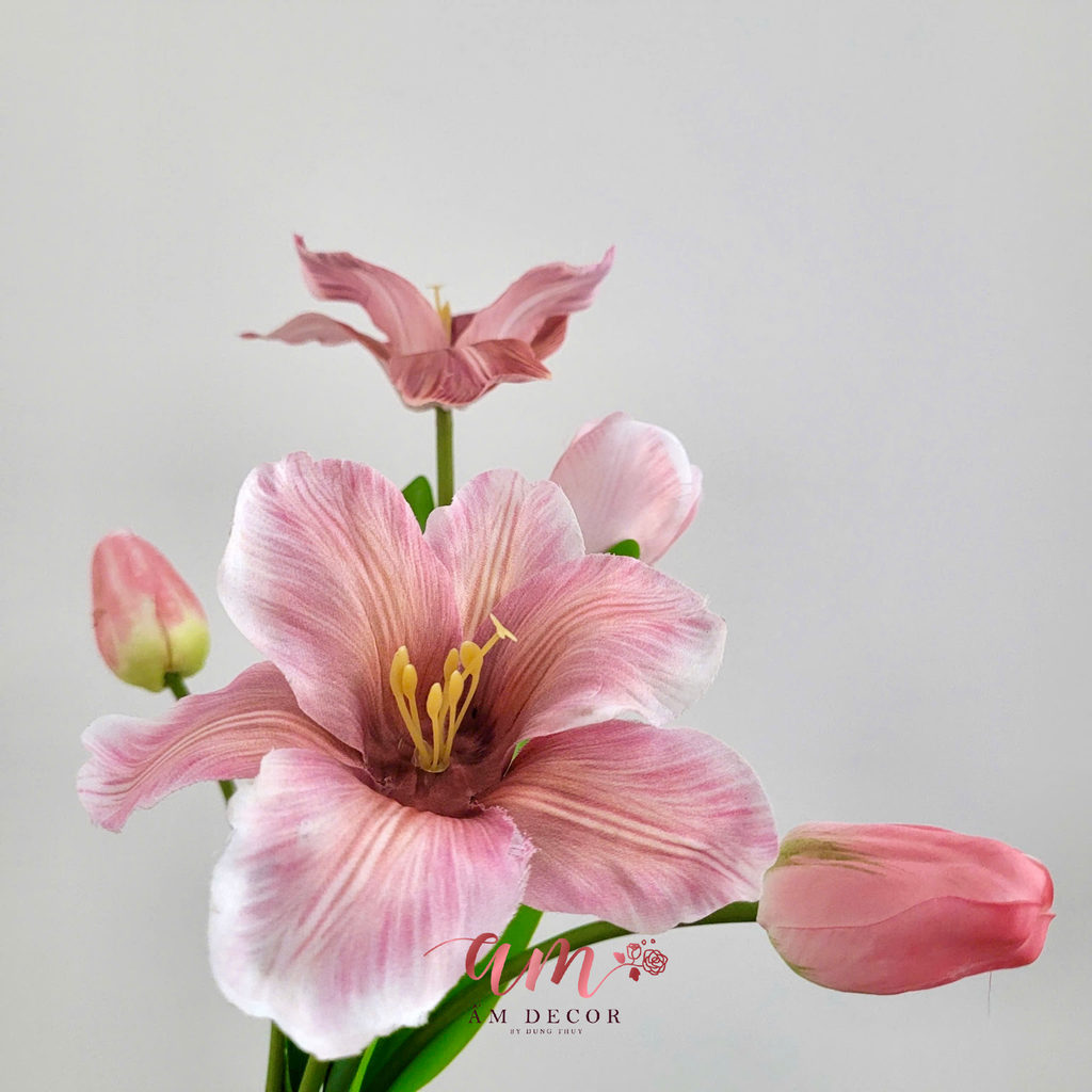 TULIP CHÙM (HỒNG)