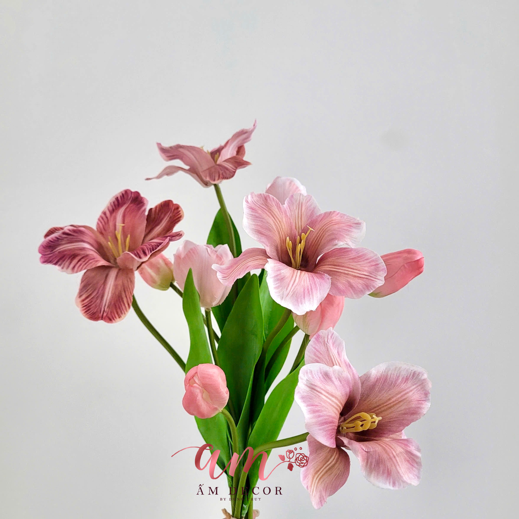 TULIP CHÙM (HỒNG)