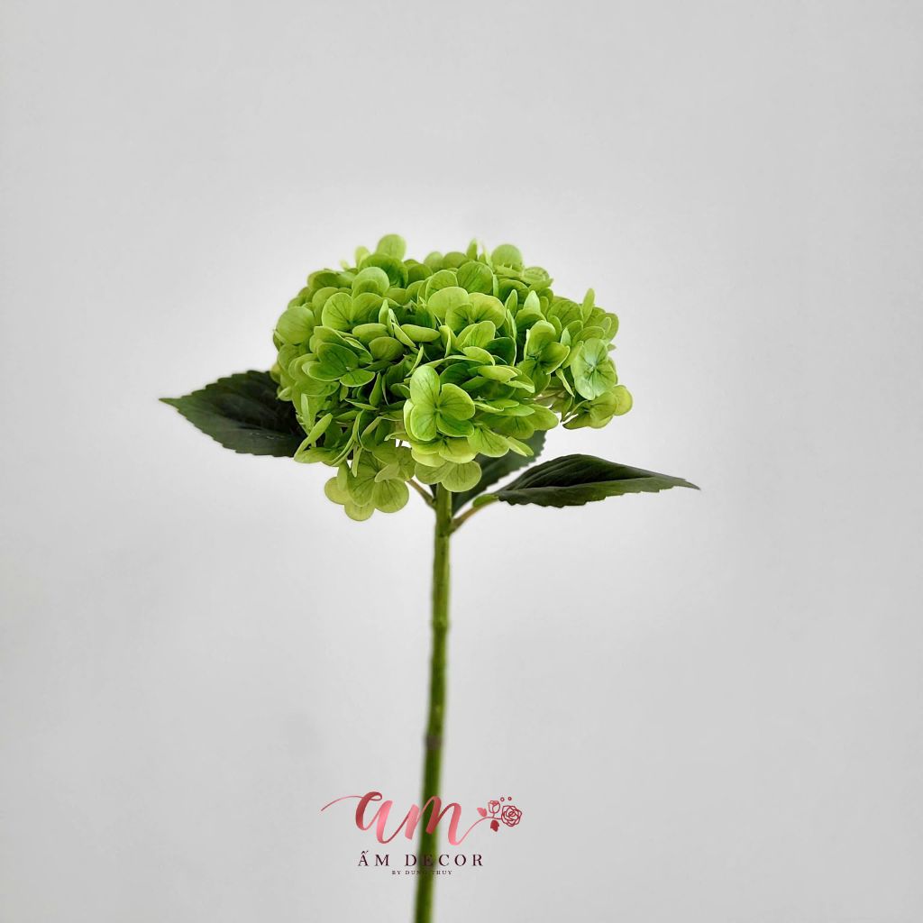 ZCẨM TÚ CẦU MÙA XUÂN CÀNH 55CM