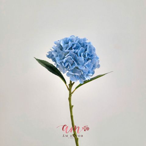  CẨM TÚ CẦU MÙA XUÂN 