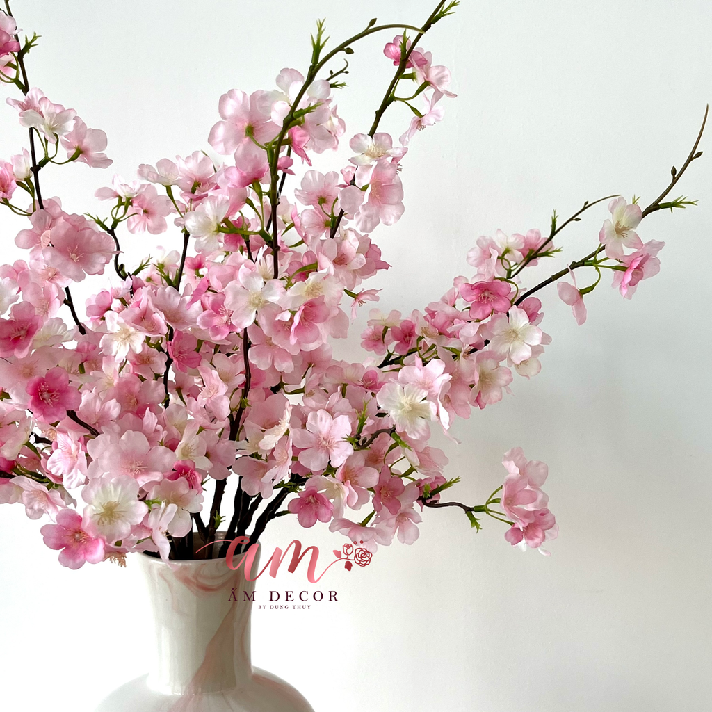 ZBÌNH ANH ĐÀO HƯƠNG SẮC MÂY