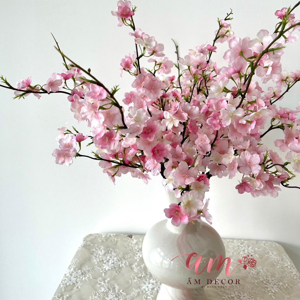 ZBÌNH ANH ĐÀO HƯƠNG SẮC MÂY