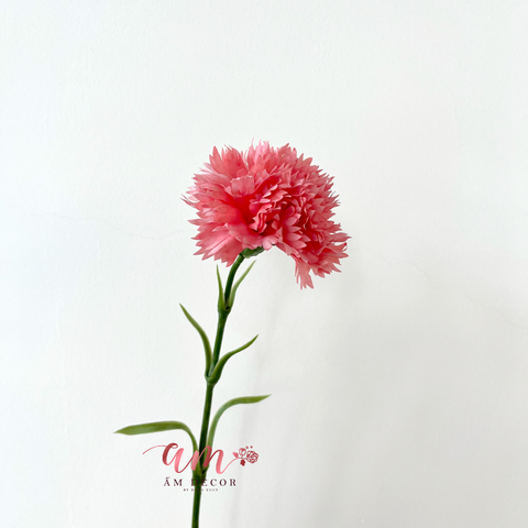  CẨM CHƯỚNG KÉP (Đỏ Hồng) 