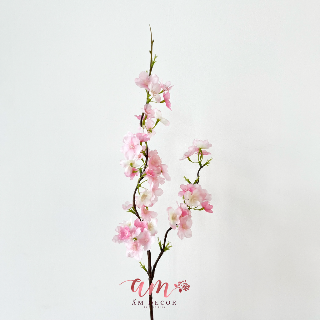 SAKURA 2025 (Hồng)