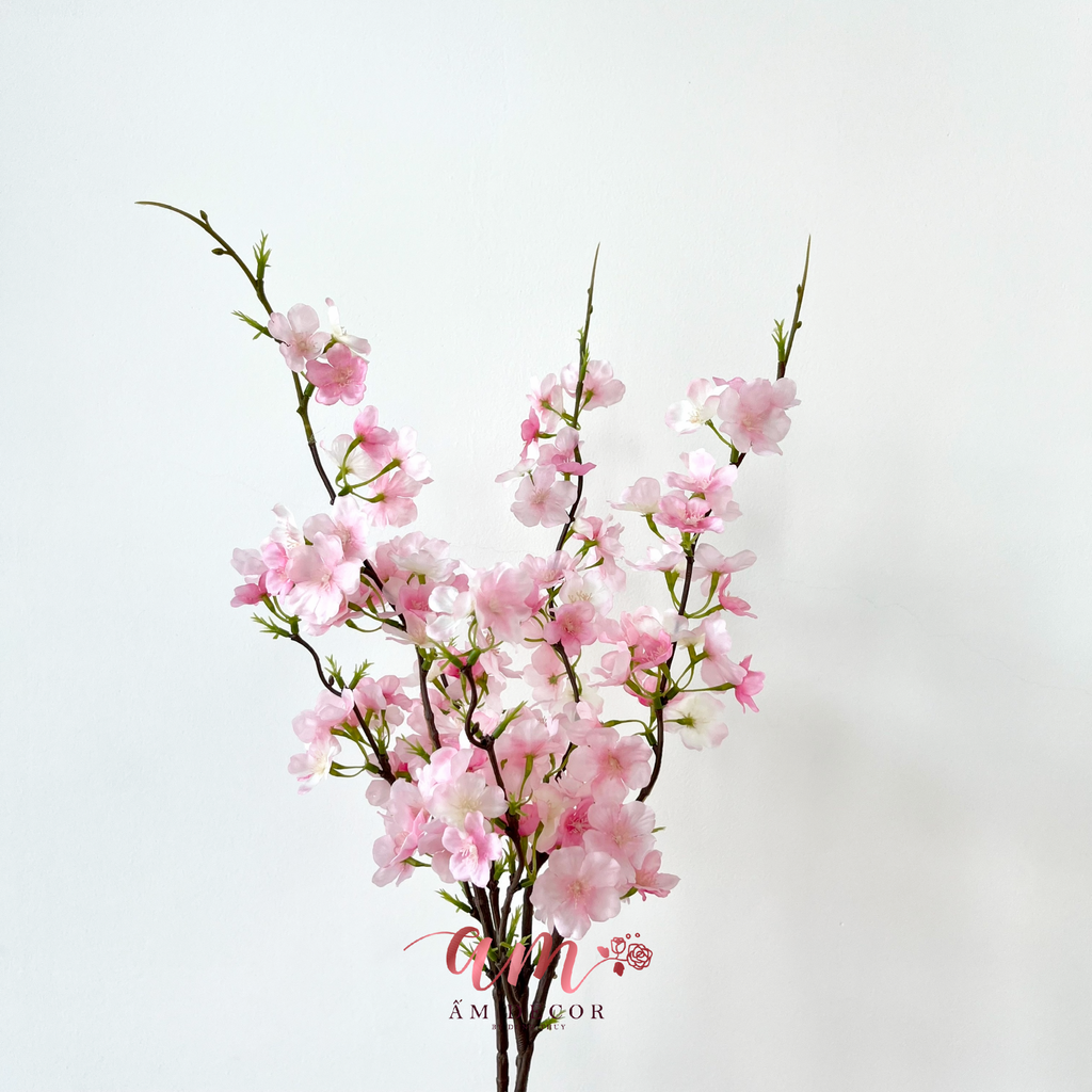 SAKURA 2025 (Hồng)