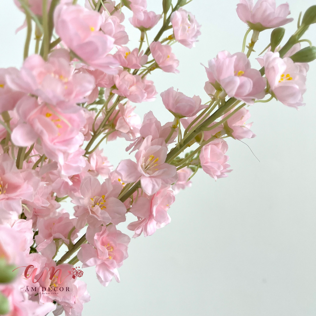 PHI YẾN MÙA XUÂN