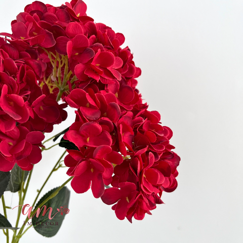  CHÙM HOA CẨM TÚ CẦU THÁI ĐỎ 