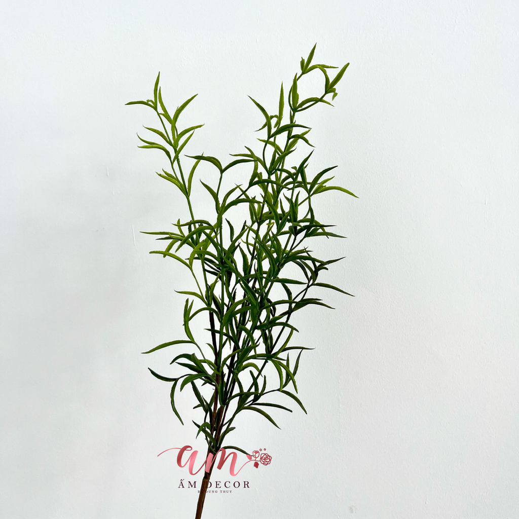 CÀNH LÁ HƯƠNG THẢO