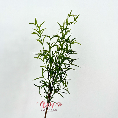  CÀNH LÁ HƯƠNG THẢO 