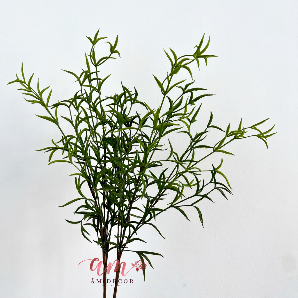 CÀNH LÁ HƯƠNG THẢO