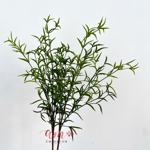  CÀNH LÁ HƯƠNG THẢO 