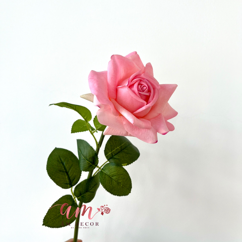  AUSTIN HOA HỒNG (Hồng) 