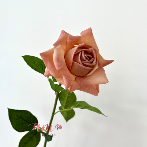  AUSTIN HOA HỒNG (Nâu Cafe) 