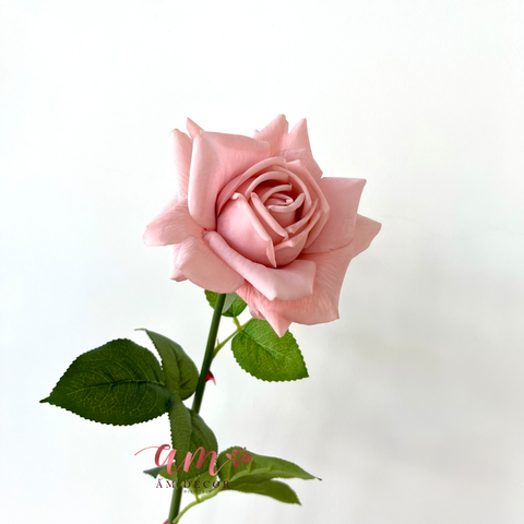  AUSTIN HOA HỒNG (Hồng Nâu) 