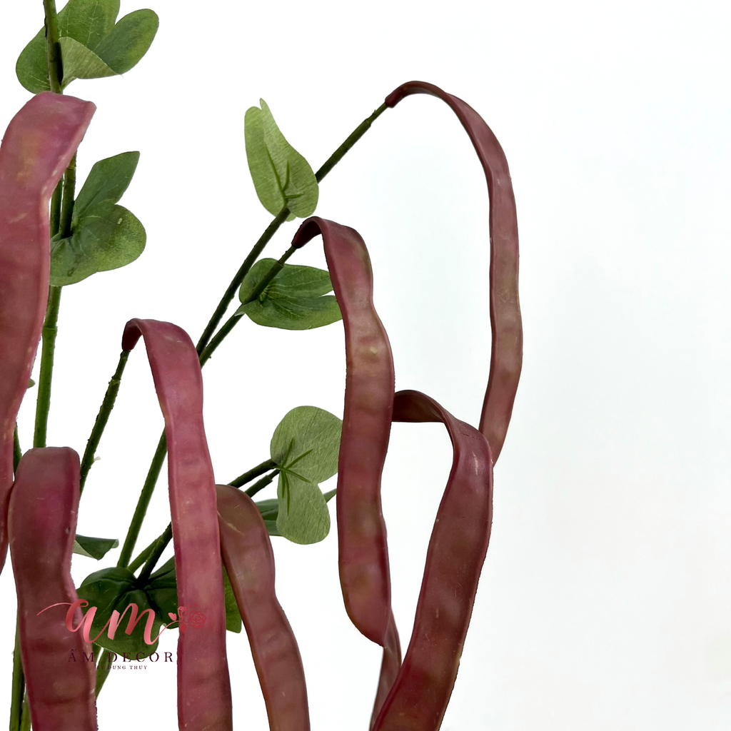 CÀNH TRÁI ĐẬU LĂNG (Đỏ)