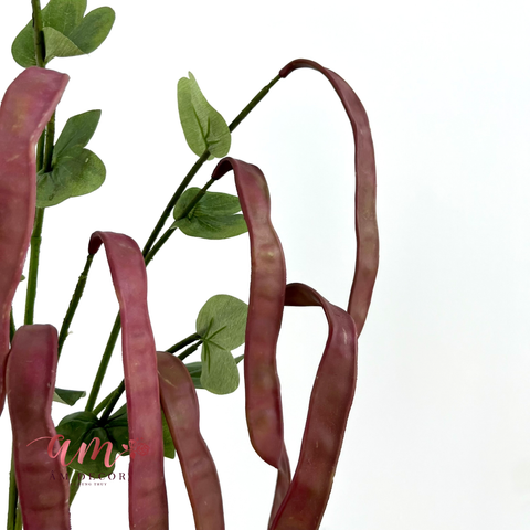  CÀNH TRÁI ĐẬU LĂNG (Đỏ) 