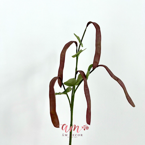  CÀNH TRÁI ĐẬU LĂNG (Đỏ) 