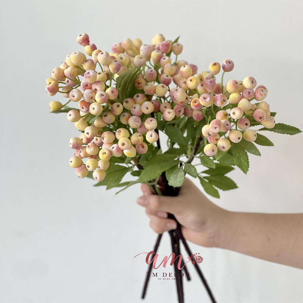 CÀNH TRÁI VIỆT QUẤT (Cam)
