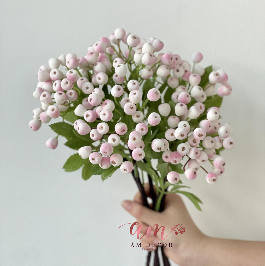 CÀNH TRÁI VIỆT QUẤT (Hồng)