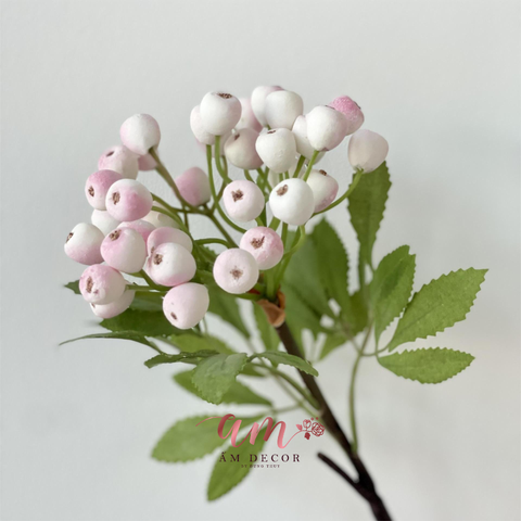  CÀNH TRÁI VIỆT QUẤT (Hồng) 