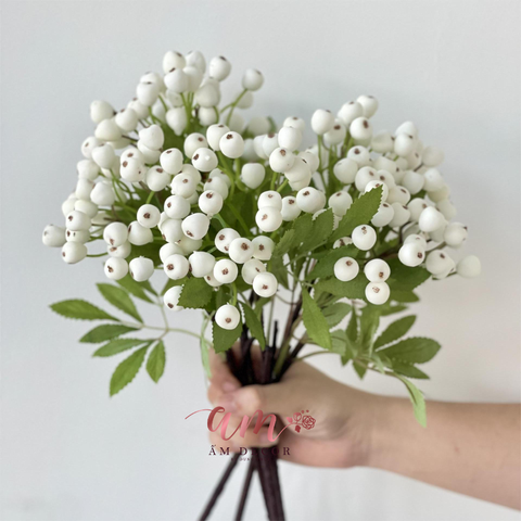  CÀNH TRÁI VIỆT QUẤT (Trắng) 