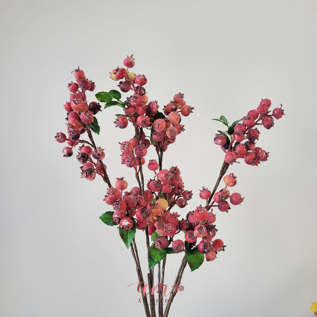 CÀNH TRÁI BLUEBERRY TUYẾT (Đỏ)