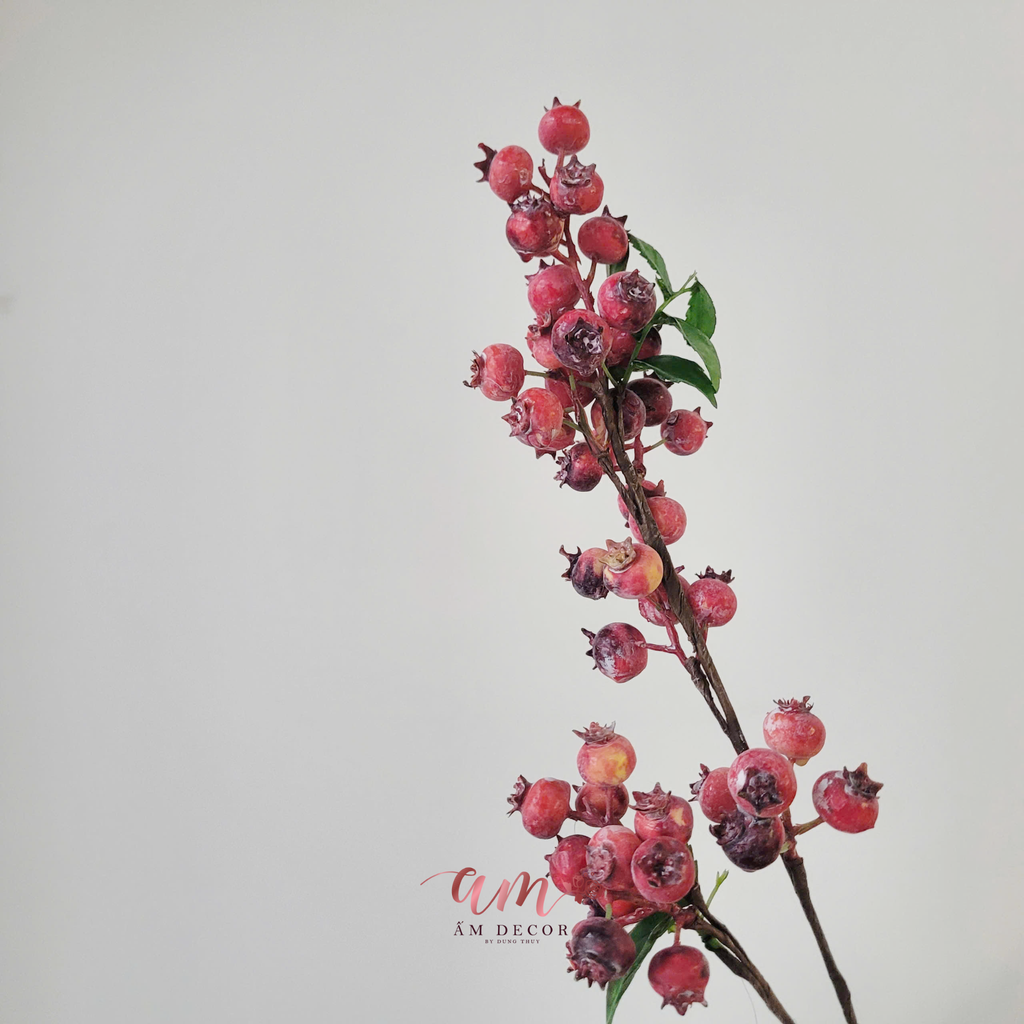 CÀNH TRÁI BLUEBERRY TUYẾT (Đỏ)