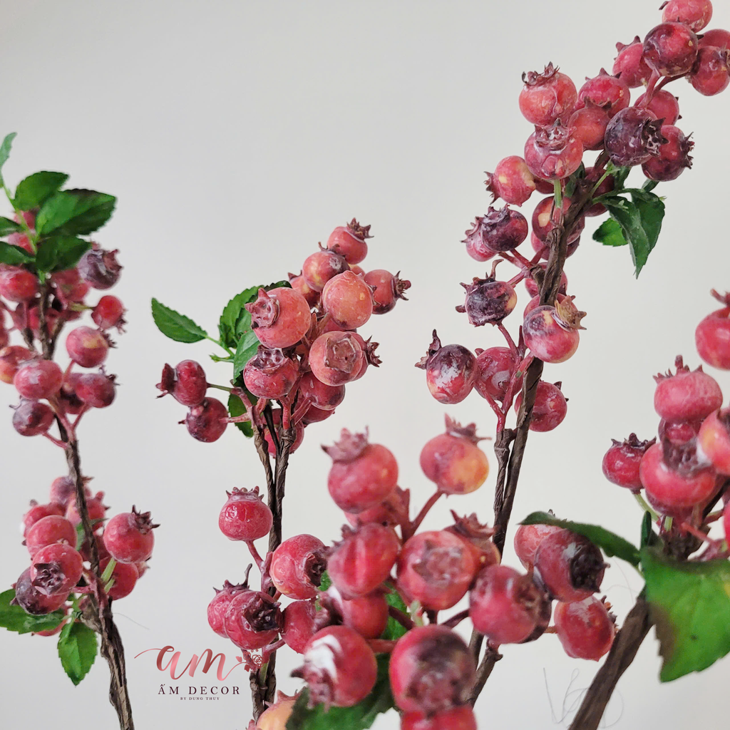 CÀNH TRÁI BLUEBERRY TUYẾT (Đỏ)