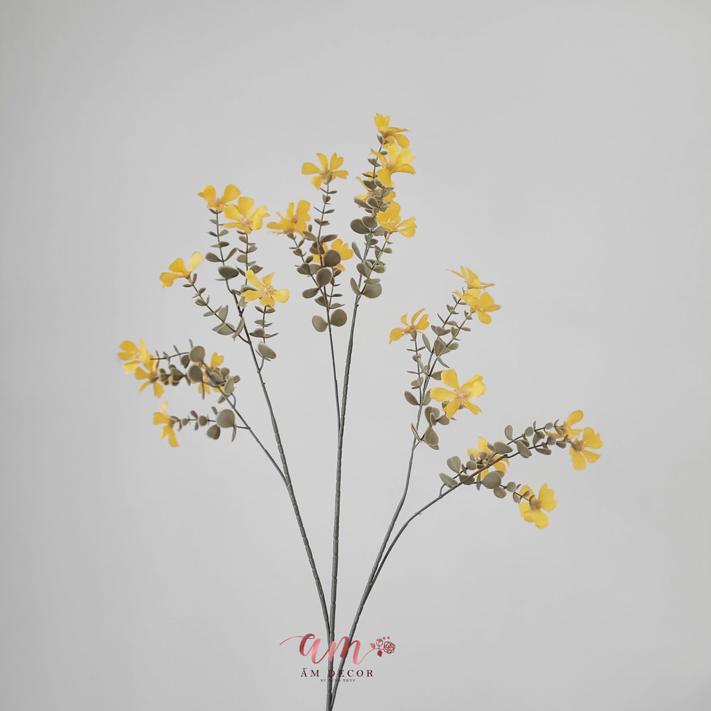 DAISY MÙA XUÂN (Vàng)