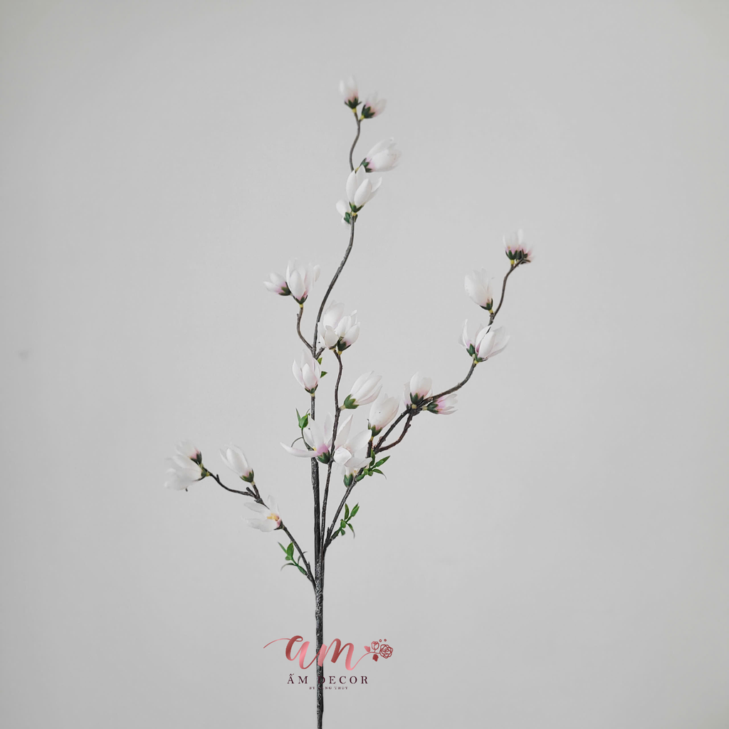 CÀNH NỤ MỘC LAN