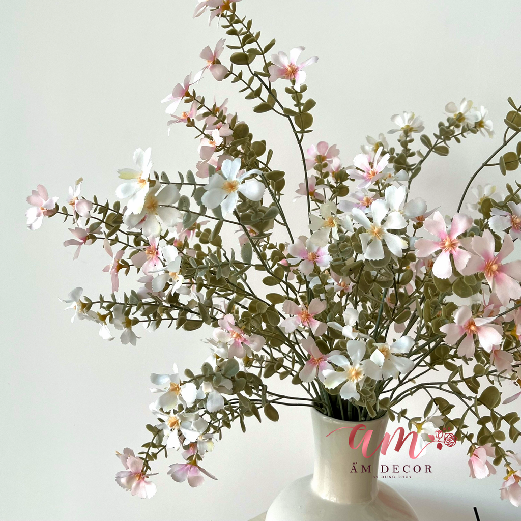 ZBÌNH HOA BLOOM DREAM