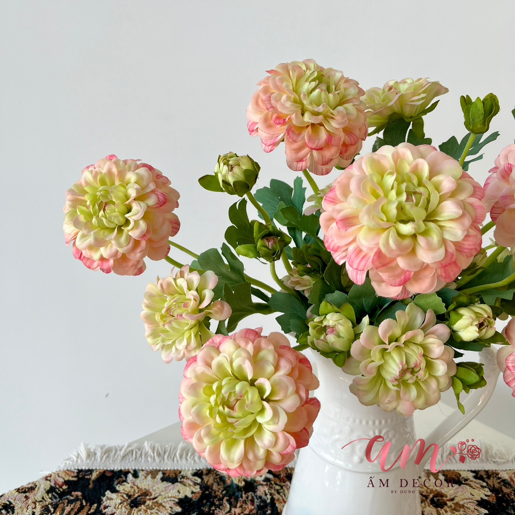 ZBÌNH HOA DAHLIA VARIABLIS DESF