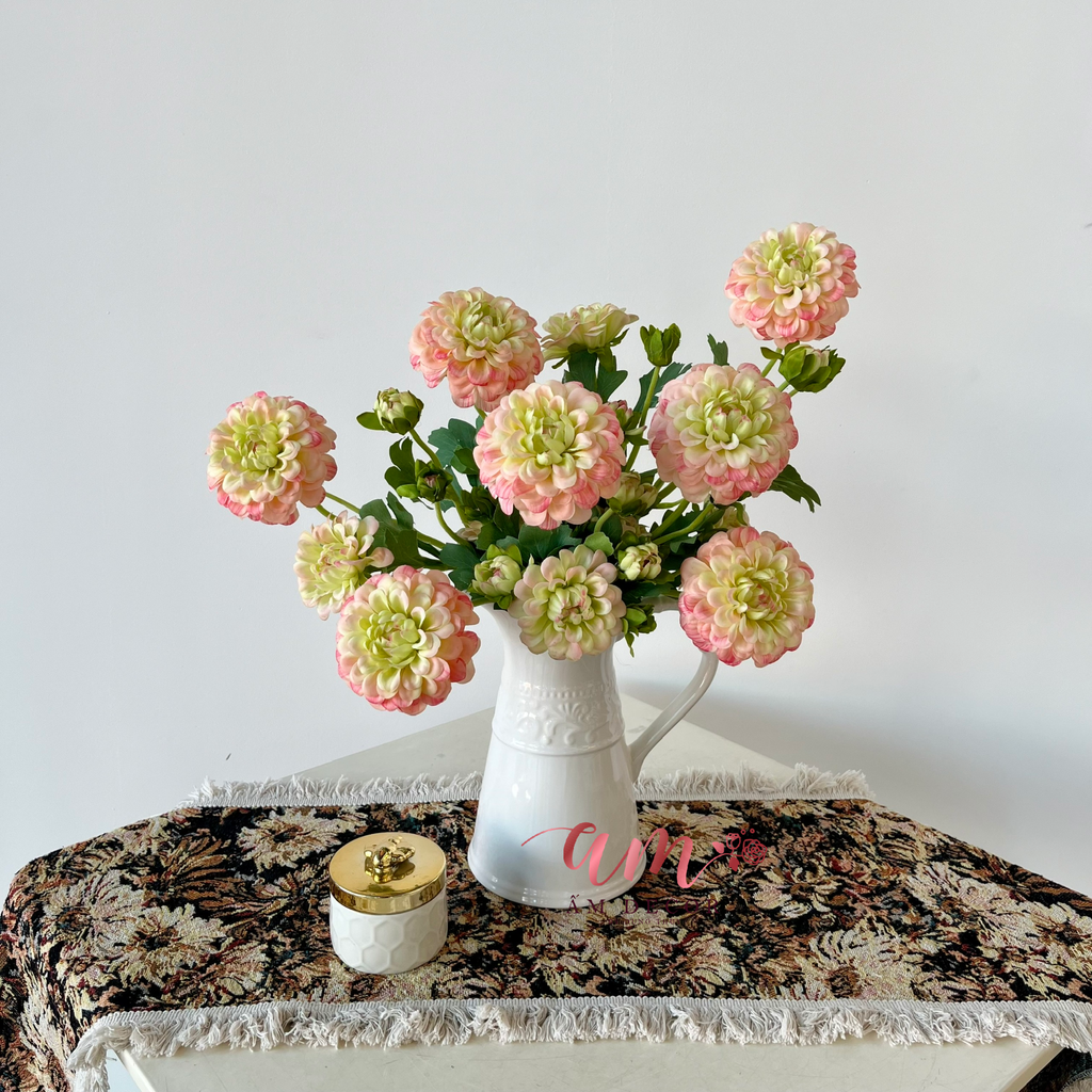 ZBÌNH HOA DAHLIA VARIABLIS DESF