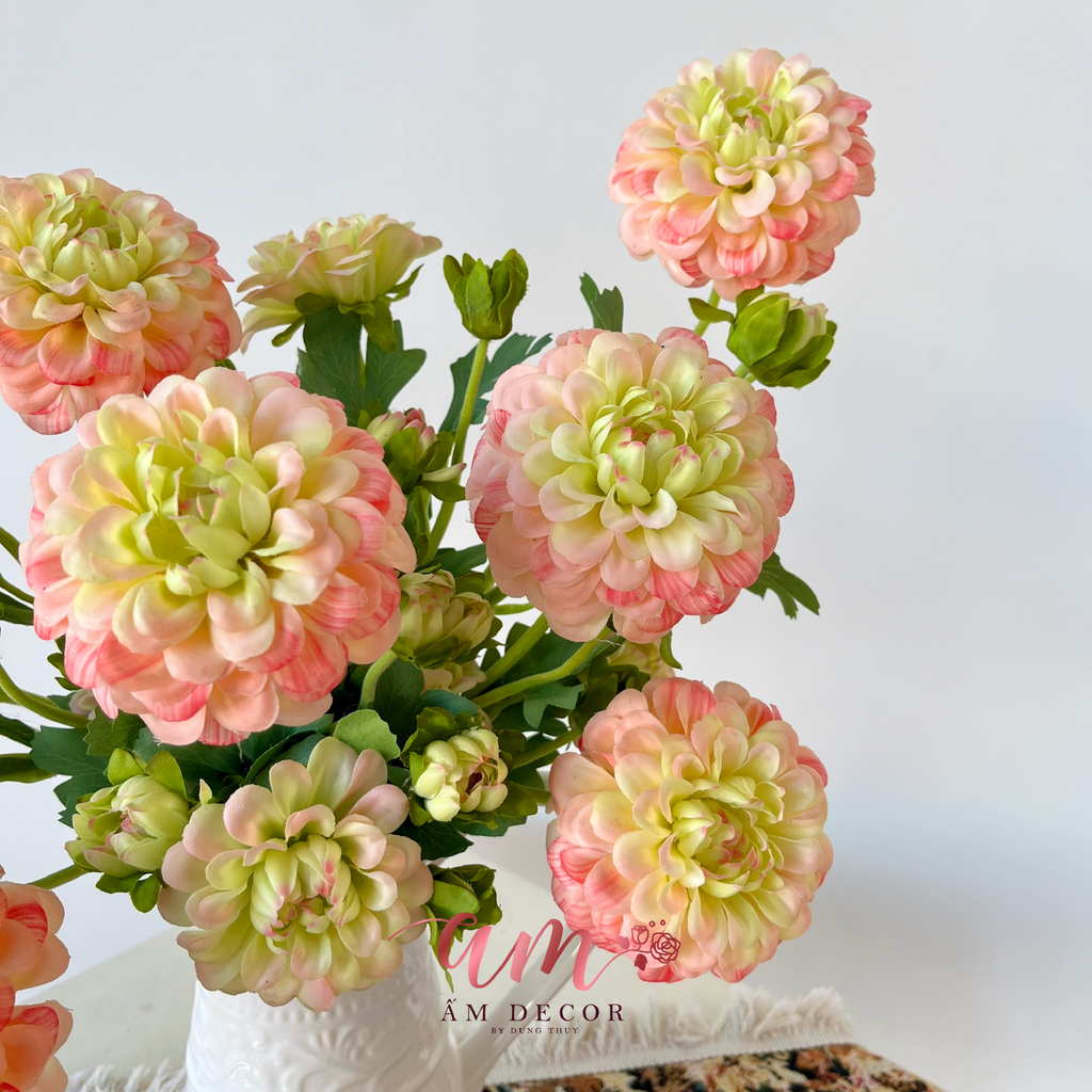 ZBÌNH HOA DAHLIA VARIABLIS DESF