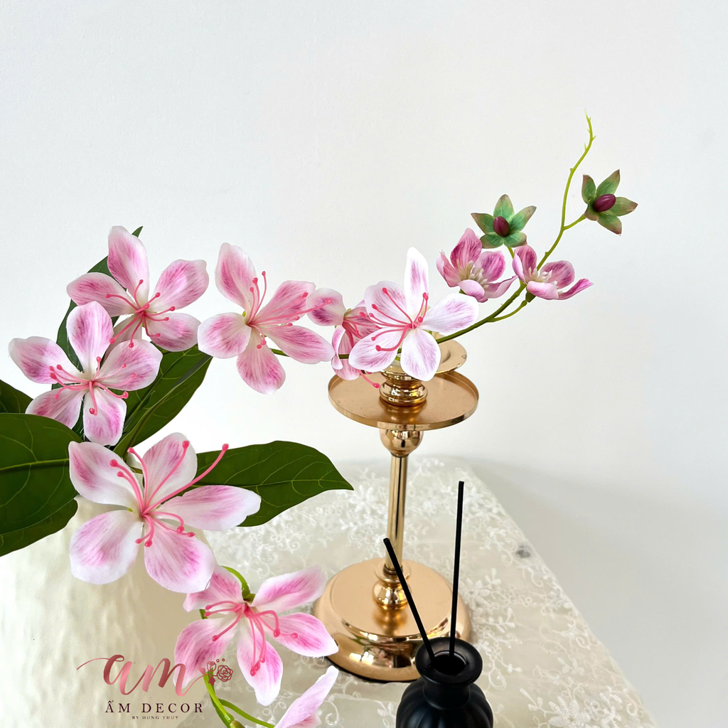 ZBÌNH HOA LIỄU ĐÀO