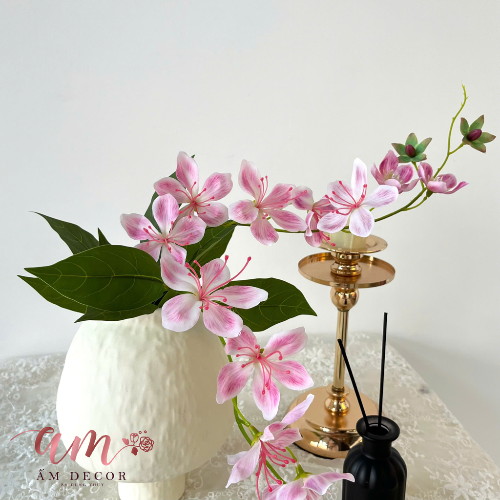 ZBÌNH HOA LIỄU ĐÀO