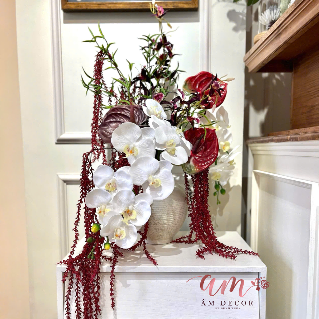 ZBÌNH HOA ORCHID REWINE